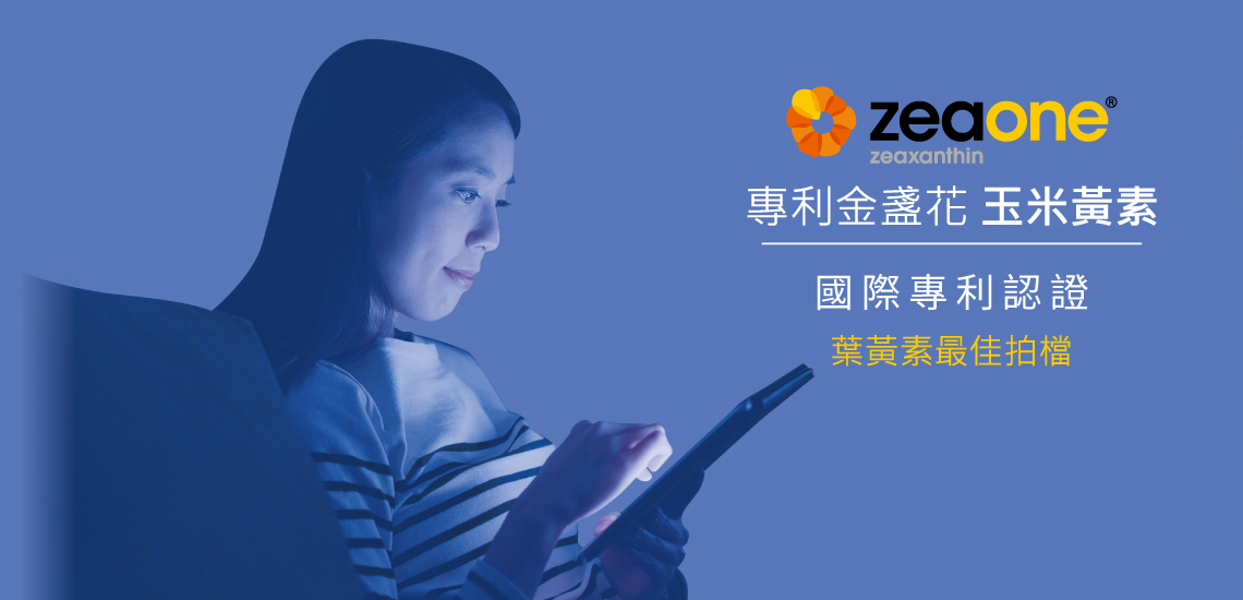 首 頁